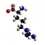 Molécule d'Arginine, l'un des 20 acides aminés entrant dans la composition des protéines.